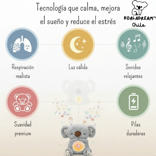 KoalaDream™
