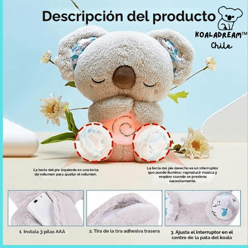 KoalaDream™